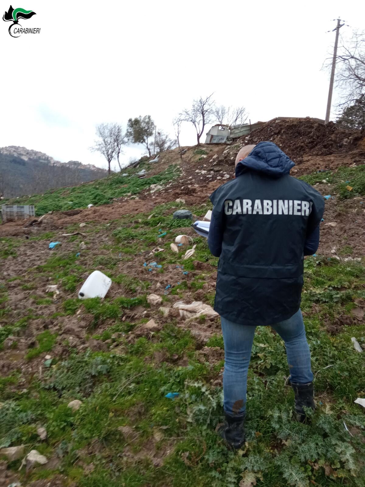 Controlli presso un'azienda zootecnica del fortore: riscontrate numerose irregolarità. - 