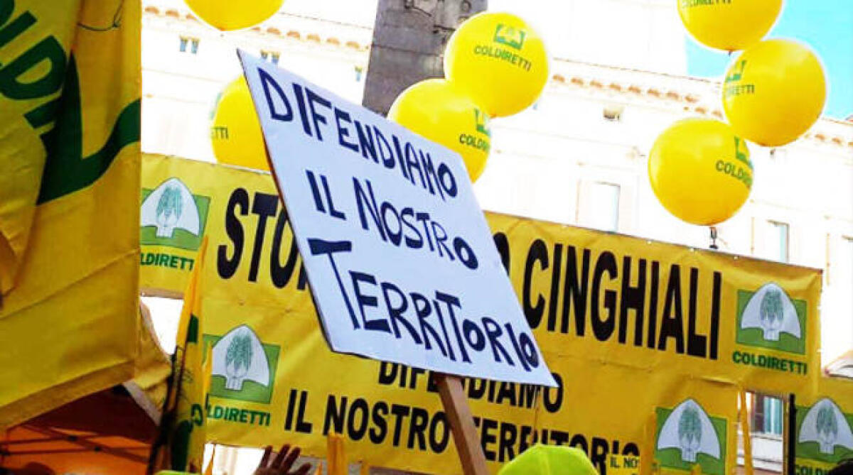 Cinghiali: Coldiretti Campania, prima svolta con filiera carne. - 