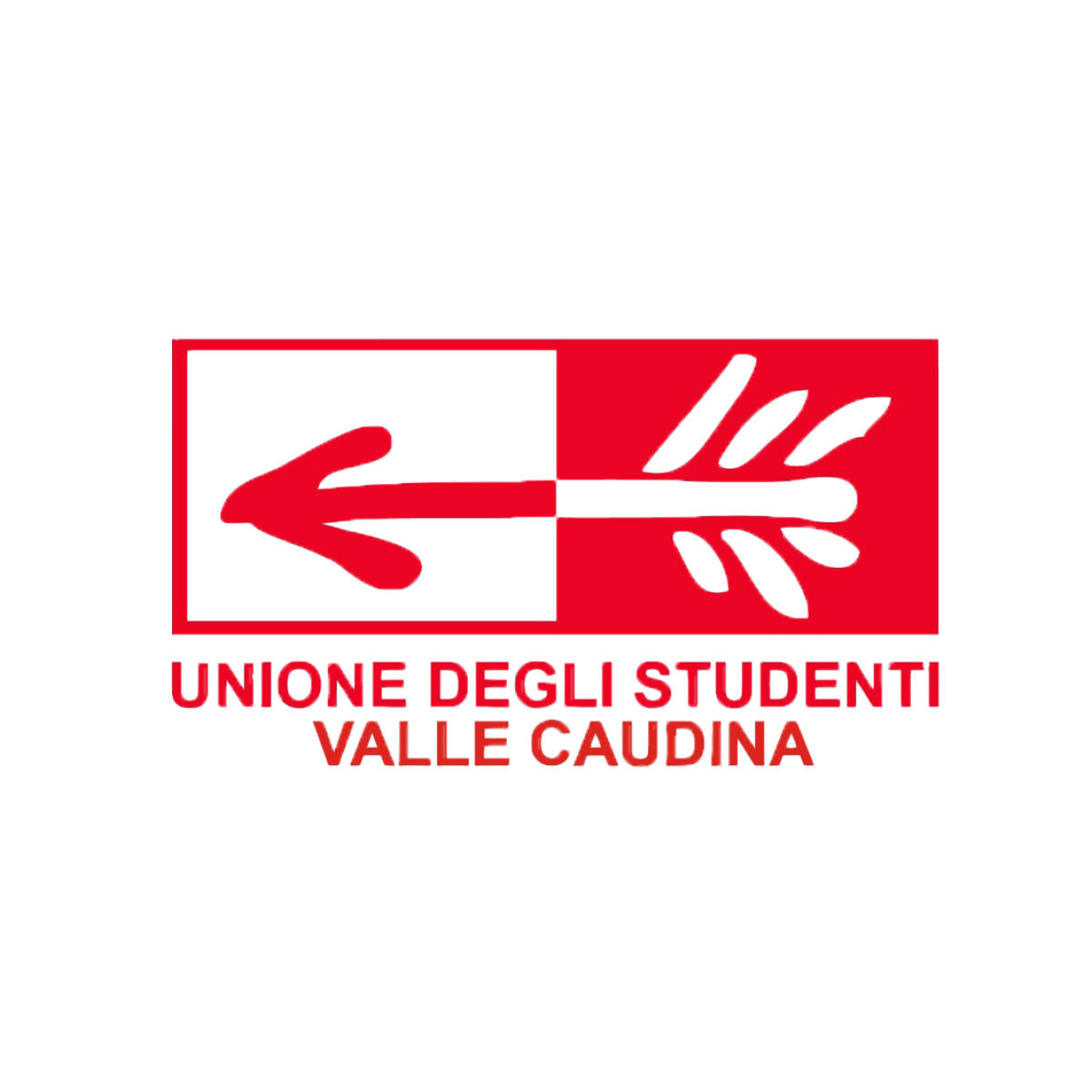Scuola e incertezze, parlano gli studenti caudini. - 
