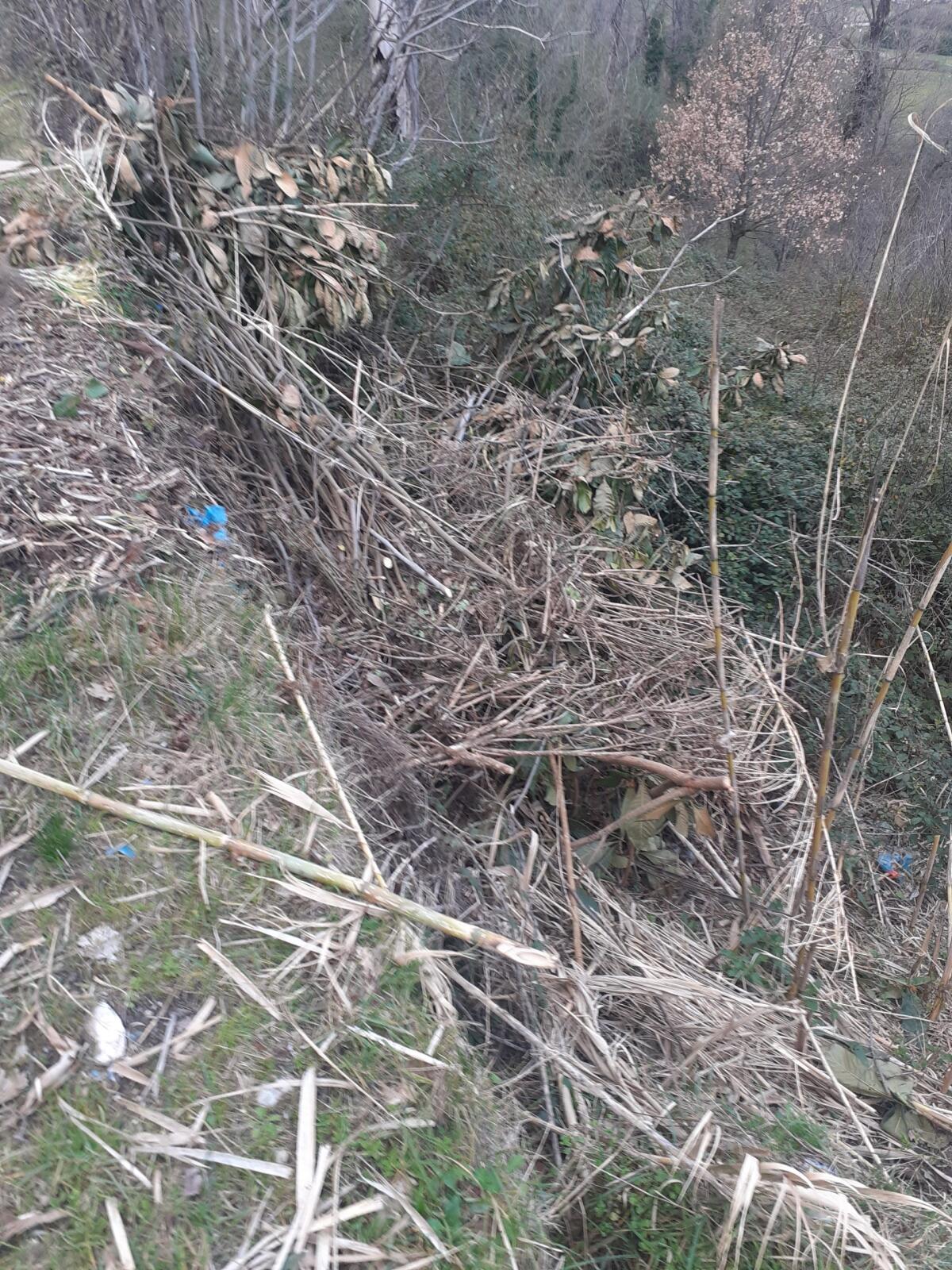 Cervinara. Puliscono i giardini e vanno a gettare i rifiuti in via Quercino. - 