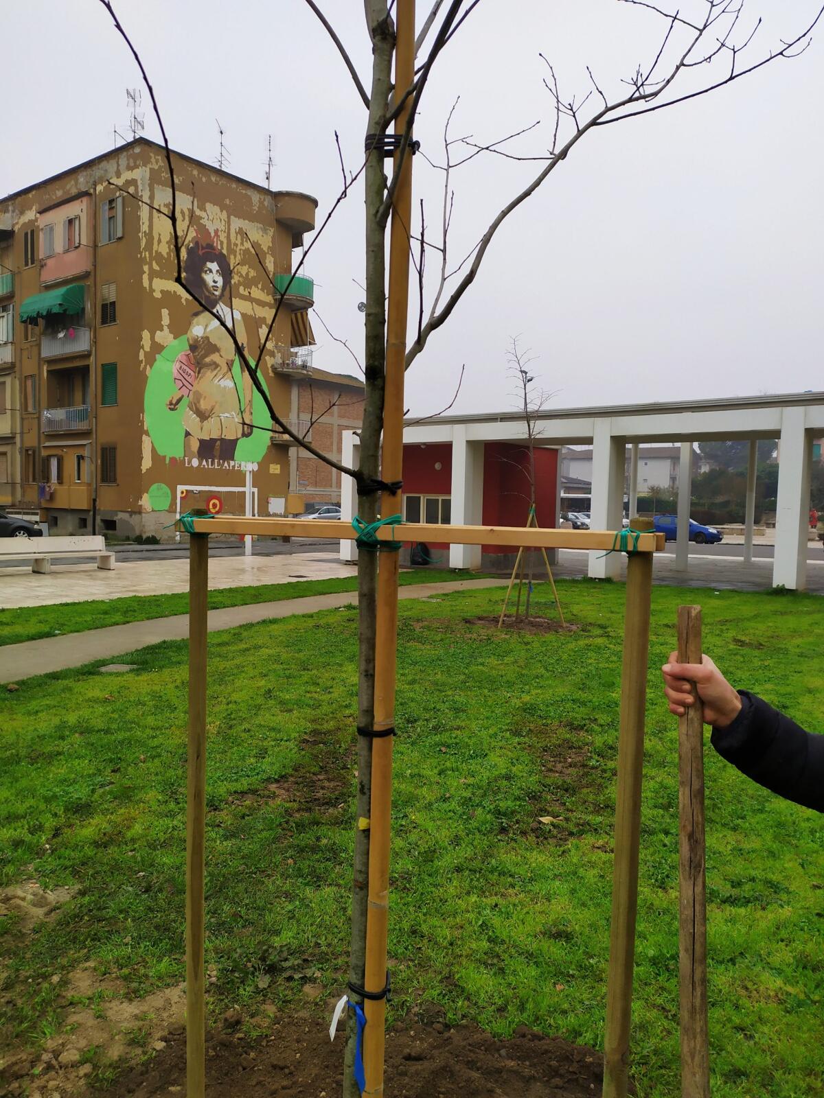 Il Centro di Aiuto alla Vita abbellisce il parco della spina verde con nuove piante - 
