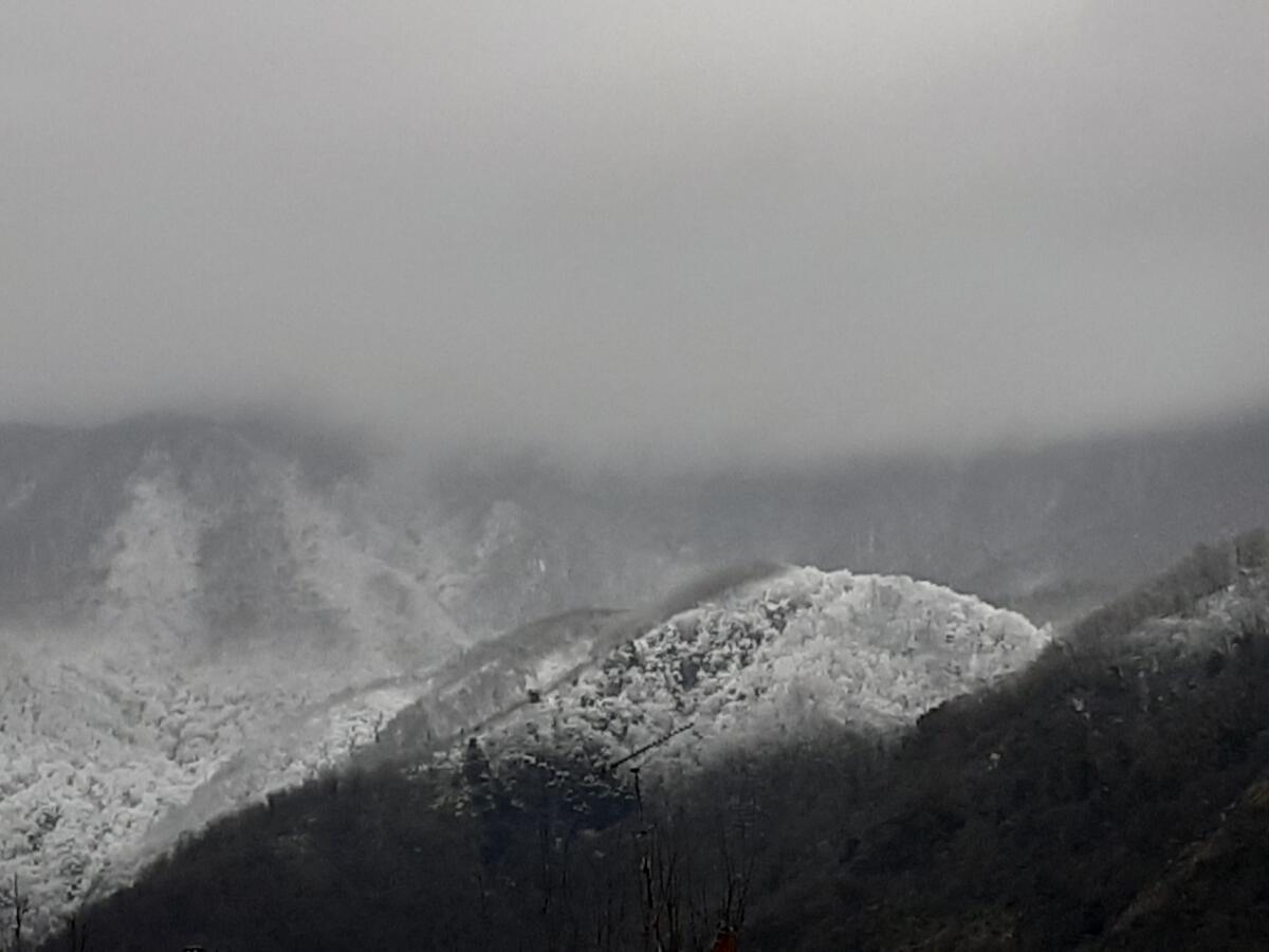 Neve in Irpinia e Sannio alla vigilia della Primavera. - 