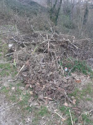 Cervinara. Puliscono i giardini e vanno a gettare i rifiuti in via Quercino.