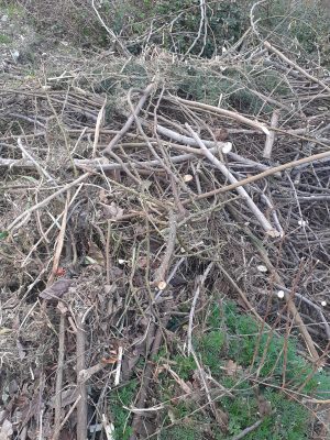 Cervinara. Puliscono i giardini e vanno a gettare i rifiuti in via Quercino.