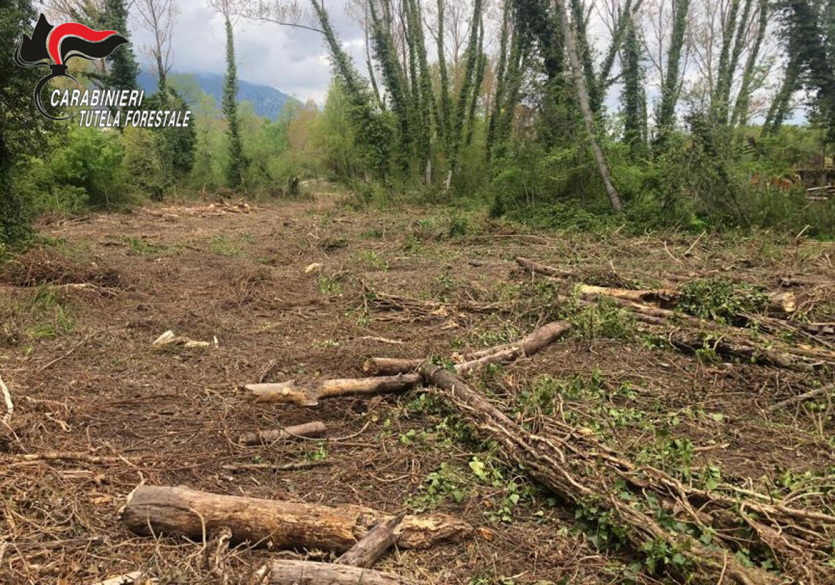 Senerchia.  Esegue opere in area protetta senza autorizzazione. - 