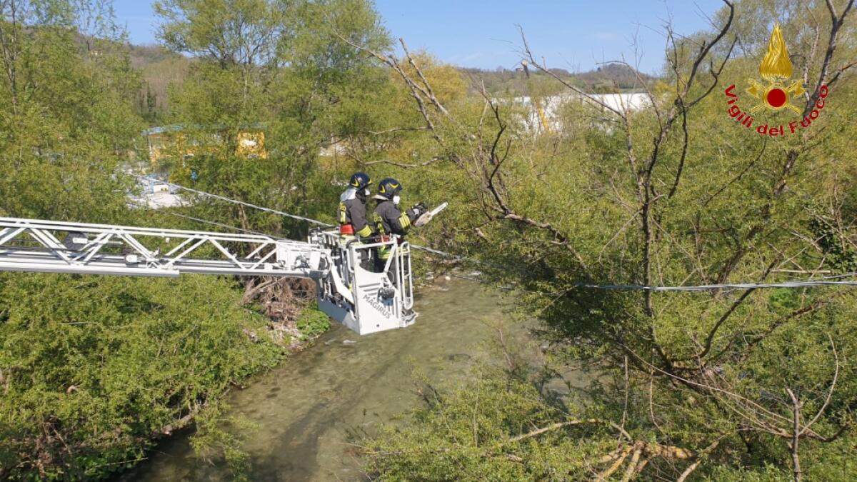 Manocalzati. Taglio dei rami caduti sui fili delle linee Enel e Telecom - 