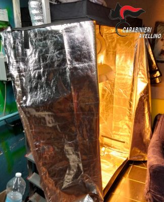 Avella. Droga: denunciato un 28 enne del Vallo di Lauro.
