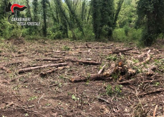 Senerchia.  Esegue opere in area protetta senza autorizzazione.