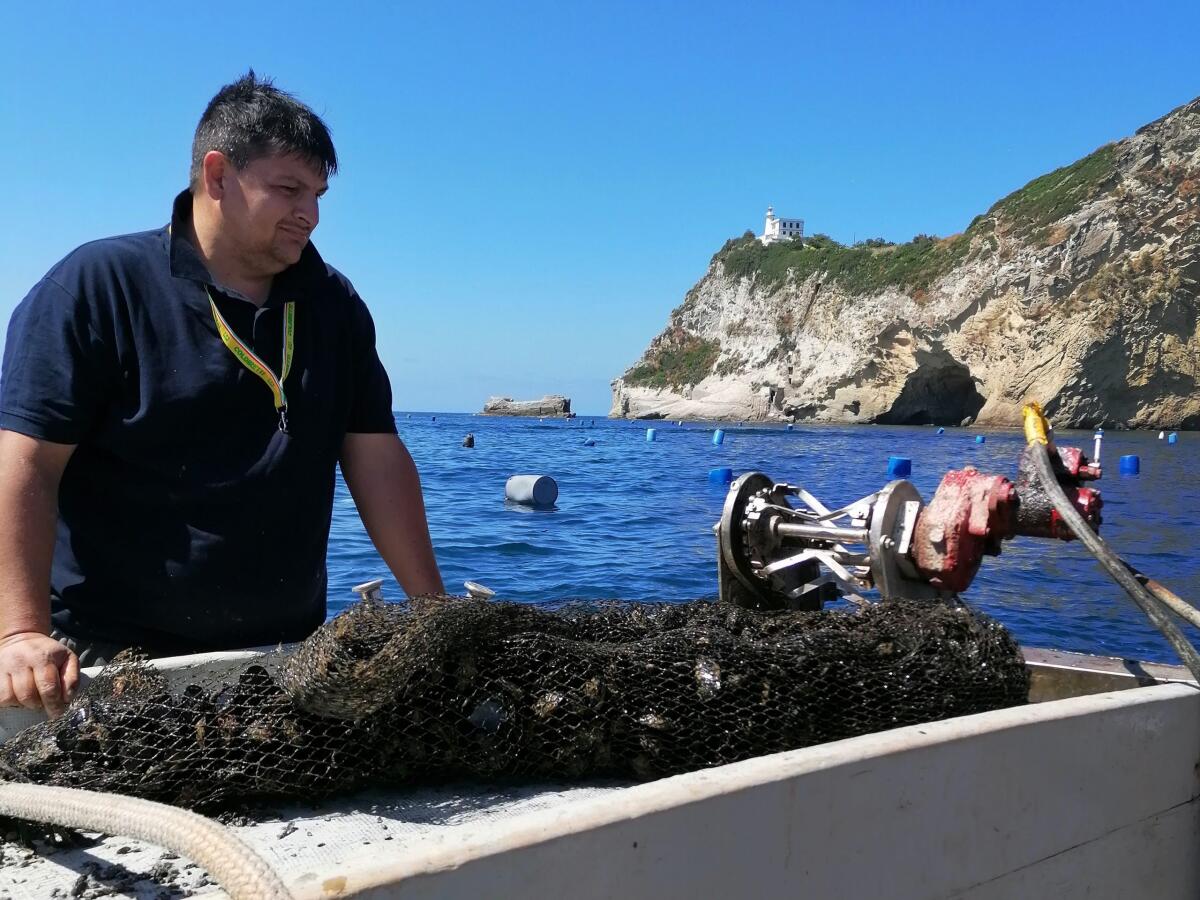 Cozza Plastic Free: al via le prove in mare a Napoli - 