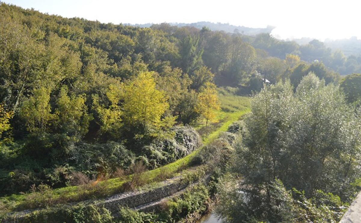 Passeggiata con il consigliere regionale Francesco Emilio Borrelli lungo il Parco del Fenestrelle - 