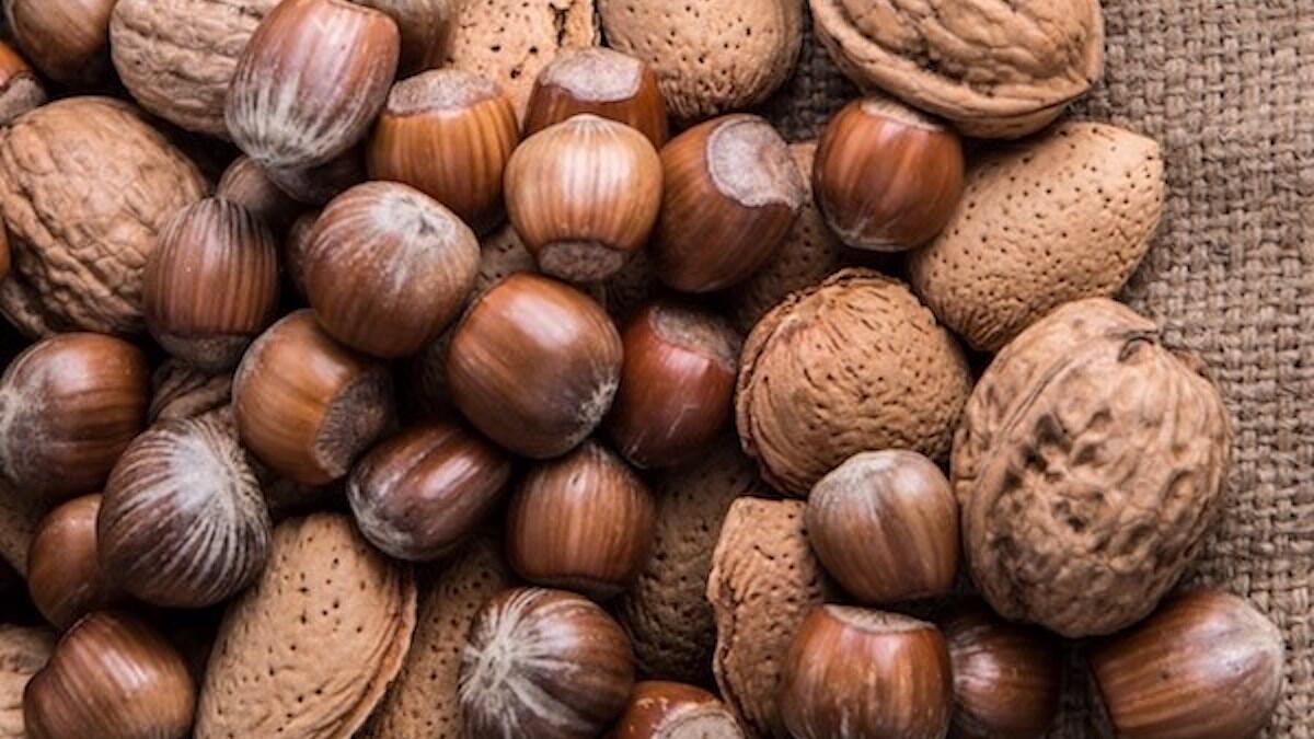 Campania in guscio, operativo il Distretto Agroalimentare di Qualità. - 