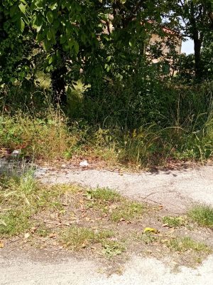 Cervinara. Non è giusto pulire solo la Villa Comunale, un lettore ci segnala lo stato di abbandono di strade e piazze