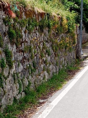 Cervinara. Non è giusto pulire solo la Villa Comunale, un lettore ci segnala lo stato di abbandono di strade e piazze
