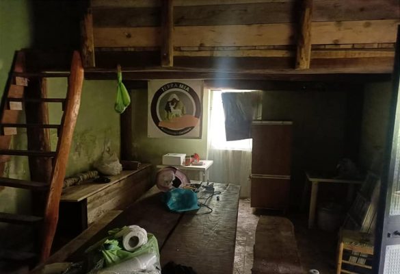 Cervinara. Vandalizzato il rifugio dell'Associazione Terra Mia