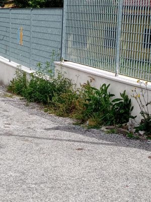 Cervinara. Non è giusto pulire solo la Villa Comunale, un lettore ci segnala lo stato di abbandono di strade e piazze