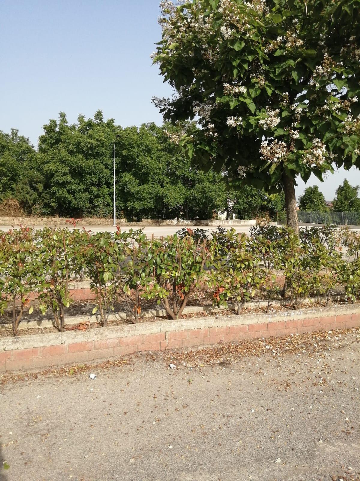 Benvenuti al Cimitero di Cervinara - 