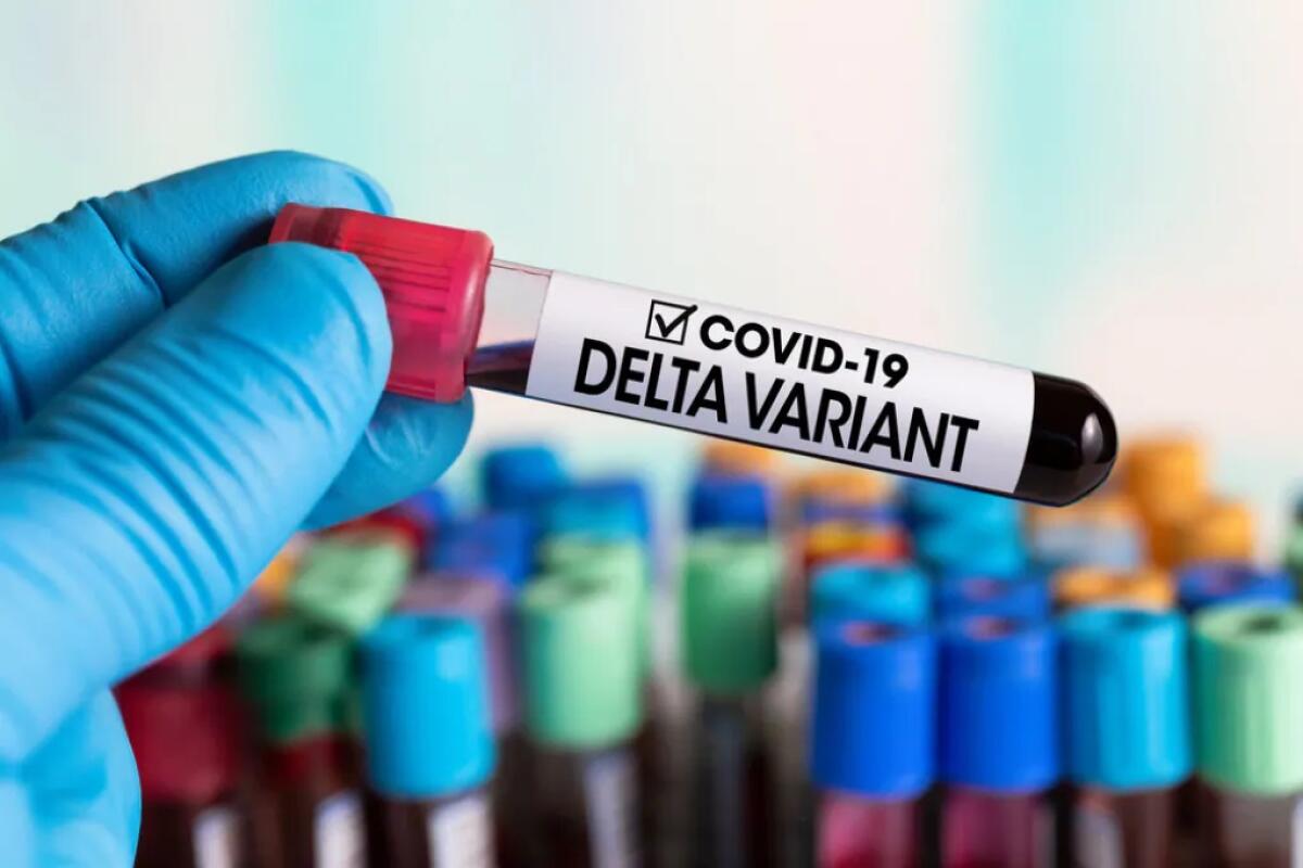 Segnalati anche in Italia focolai di varianti del virus SARS-CoV-2 - 