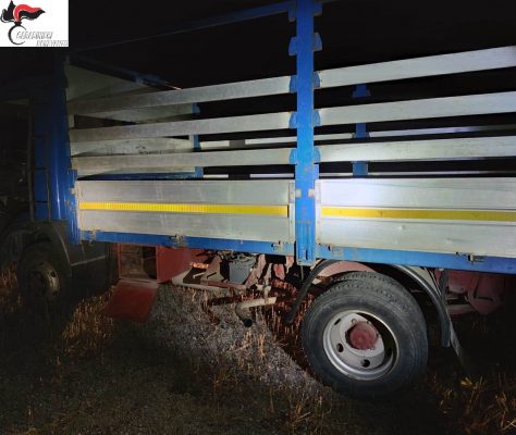 Ritrovati i trattori e l’autocarro rubati al Parco naturalistico del Volturno di Amorosi.