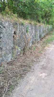 Benevento. Civico 22: i cittadini non dormono