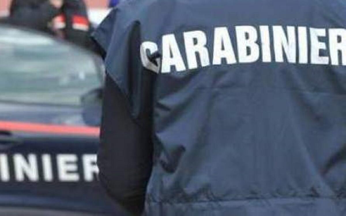 30enne senza fissa dimora sorpresa dai carabinieri nei pressi di abitazioni isolate - 