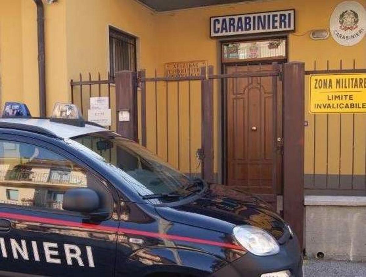 Roghi agricoli: i carabinieri denunciano la proprietaria di un fondo agricolo. - 