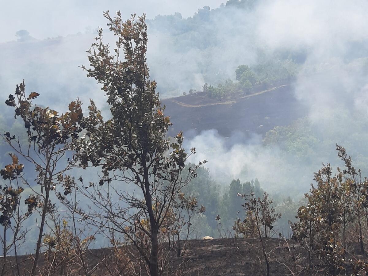 Ancora fiamme in località San Giovanni di Apollosa - 