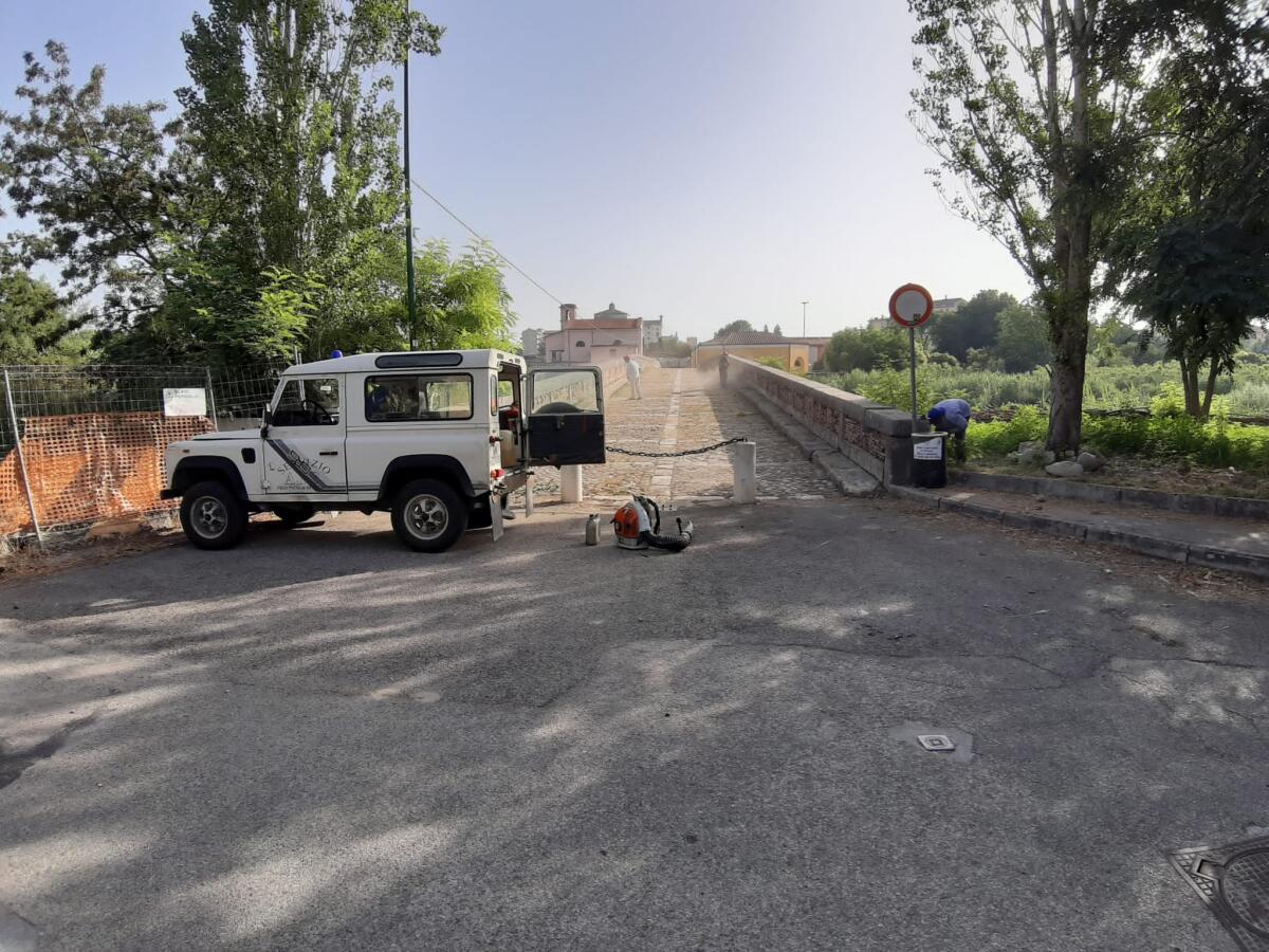 Il Servizio Forestazione della Provincia provvede alla manutenzione del verde urbano a Benevento. - 