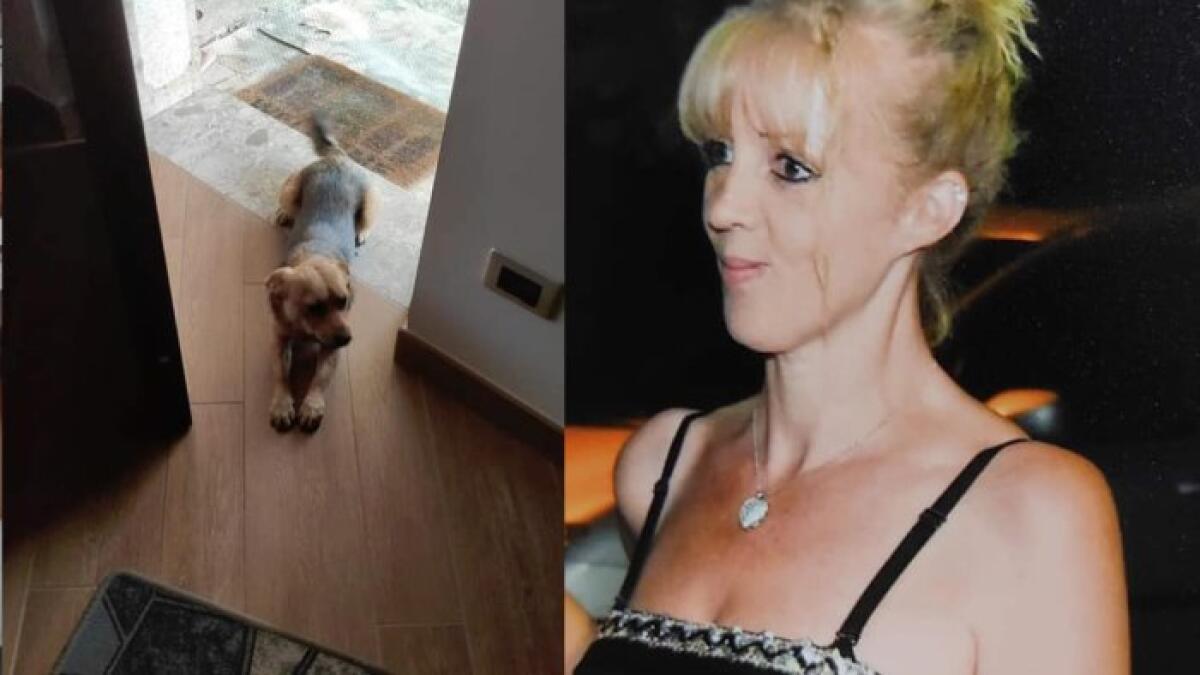 Forino. Si cerca Daniela Carpentieri di 40 anni si è allontanata da casa con il suo cane - 