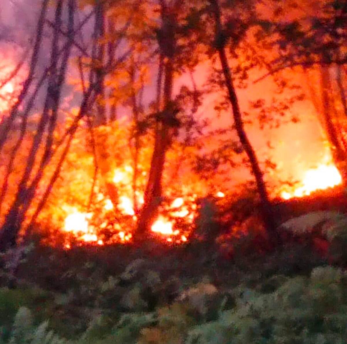 Volontario ambientale appicca un incendio di proporzioni molto vaste - 