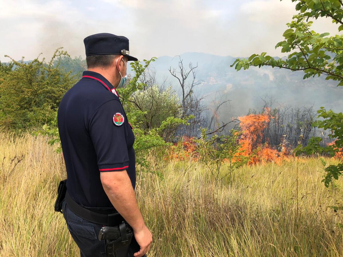 Montesarchio. Incendio loc. Fiego arrestato un allevatore 50 enne - 