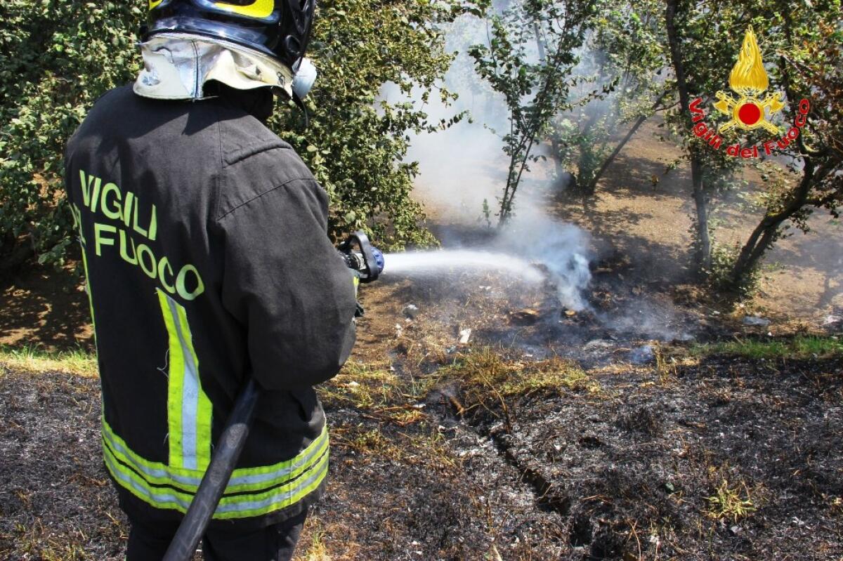 Autostrada A16, incendio di sterpaglie nel territorio di Avellino - 