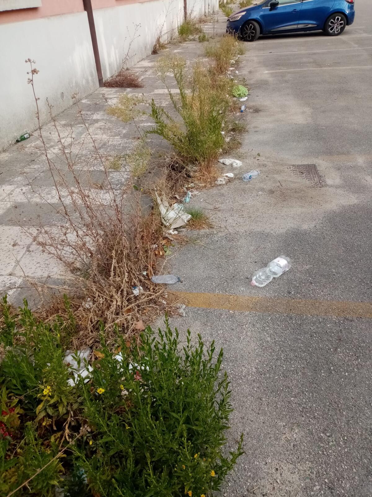 Picariello (Città Aperta): “Non lasciamo che Benevento sia umiliata per la sporcizia e il degrado. Serve amore per la Città” - 