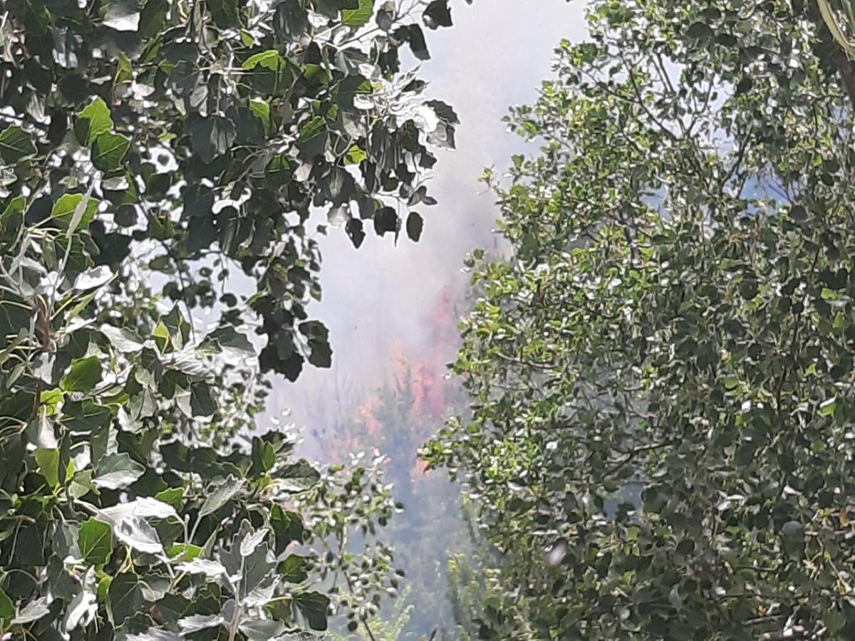 Settore Antincendio Boschivo della Provincia di Benevento ha effettuato 38 diversi interventi. - 