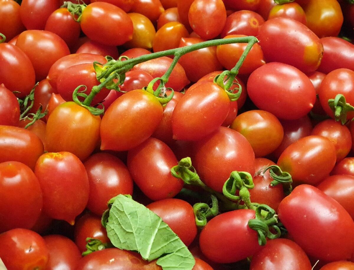 Pomodori, Coldiretti Campania denuncia speculazioni - 