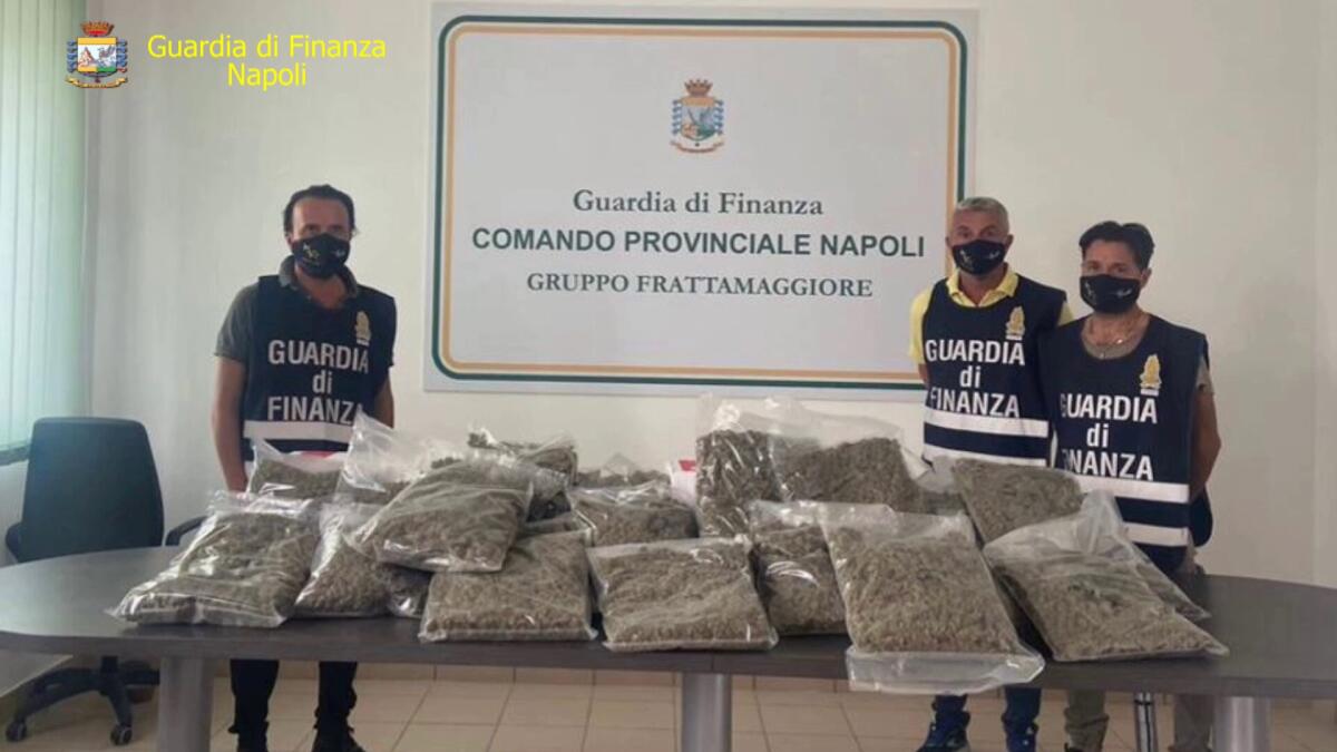 Droga sottovuoto in un centro di spedizioni. Scoperti 22 kg di marijuana - 