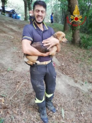 E' stata ritrovata la donna di Forino che si era allontanata di casa con il suo cane
