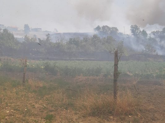 Settore Antincendio Boschivo della Provincia di Benevento ha effettuato 38 diversi interventi.
