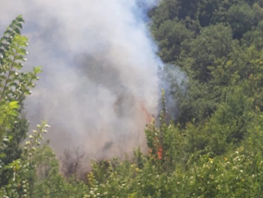 Settore Antincendio Boschivo della Provincia di Benevento ha effettuato 38 diversi interventi.