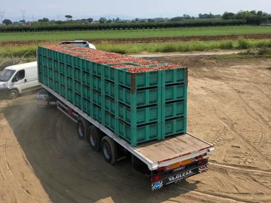 Crisi trasporti pomodori, Coldiretti Campania: pronti con i trattori