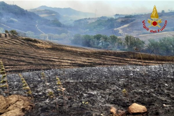 Incendi: cinquanta interventi dei Vigili del fuoco di Avellino.