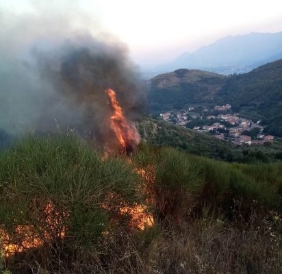 Ferragosto 2021 di fuoco nei boschi e nelle aree coltivate del Sannio.