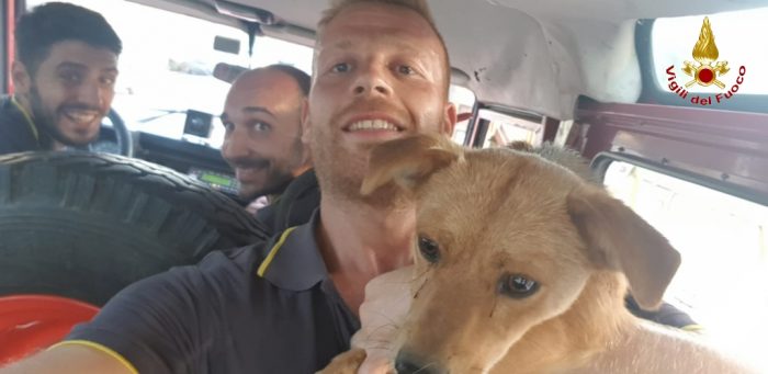 E' stata ritrovata la donna di Forino che si era allontanata di casa con il suo cane