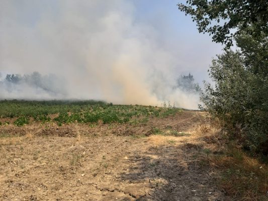 Settore Antincendio Boschivo della Provincia di Benevento ha effettuato 38 diversi interventi.