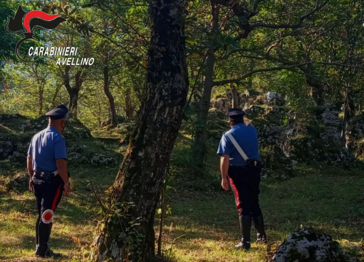 Perdono orientamento durante escursione in montagna: giovane coppia rintracciata e soccorsa dai carabinieri - 