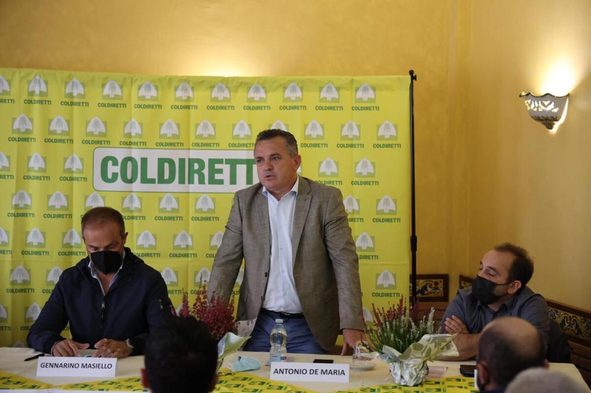 Progetto “RU.CA.NET. Fare rete per il sociale nelle terre dei Tratturi e della Valle del Titerno” - 
