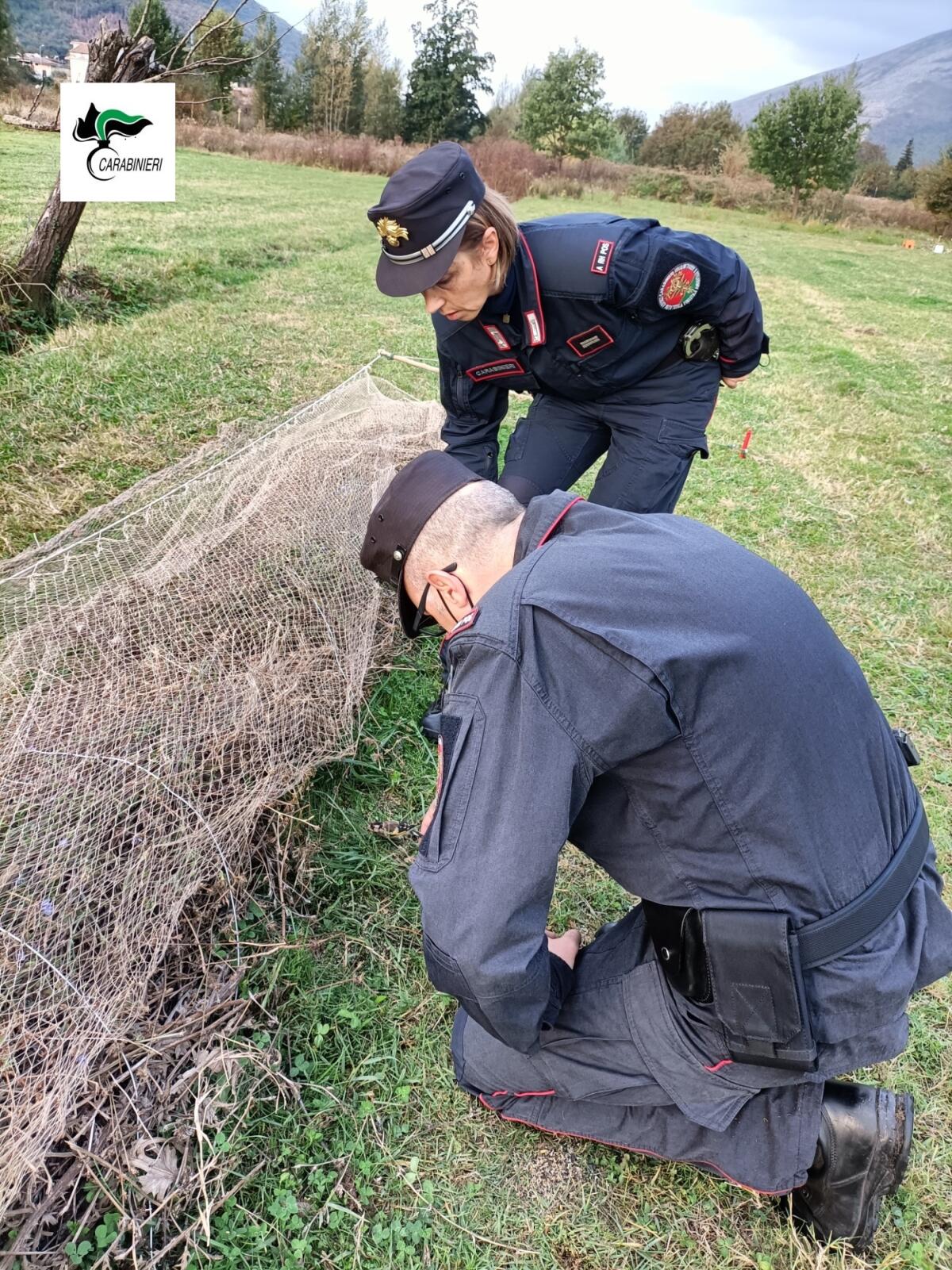 Paolisi. 72 enne denunciato per uccellagione e maltrattamento di animali - 