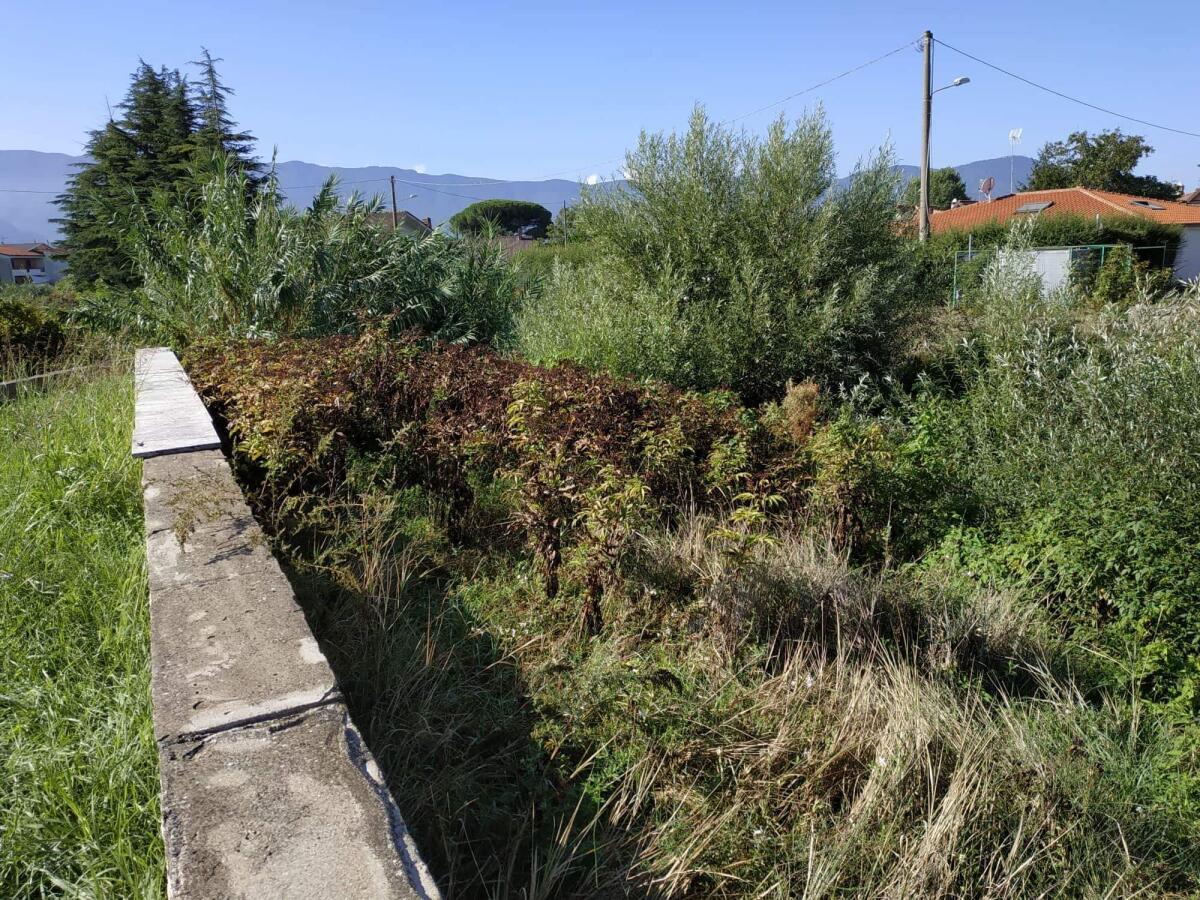 Montesarchio. Il sindaco Damiano: al via i lavori per la pulizia dell'alveo del torrente Tesa - 