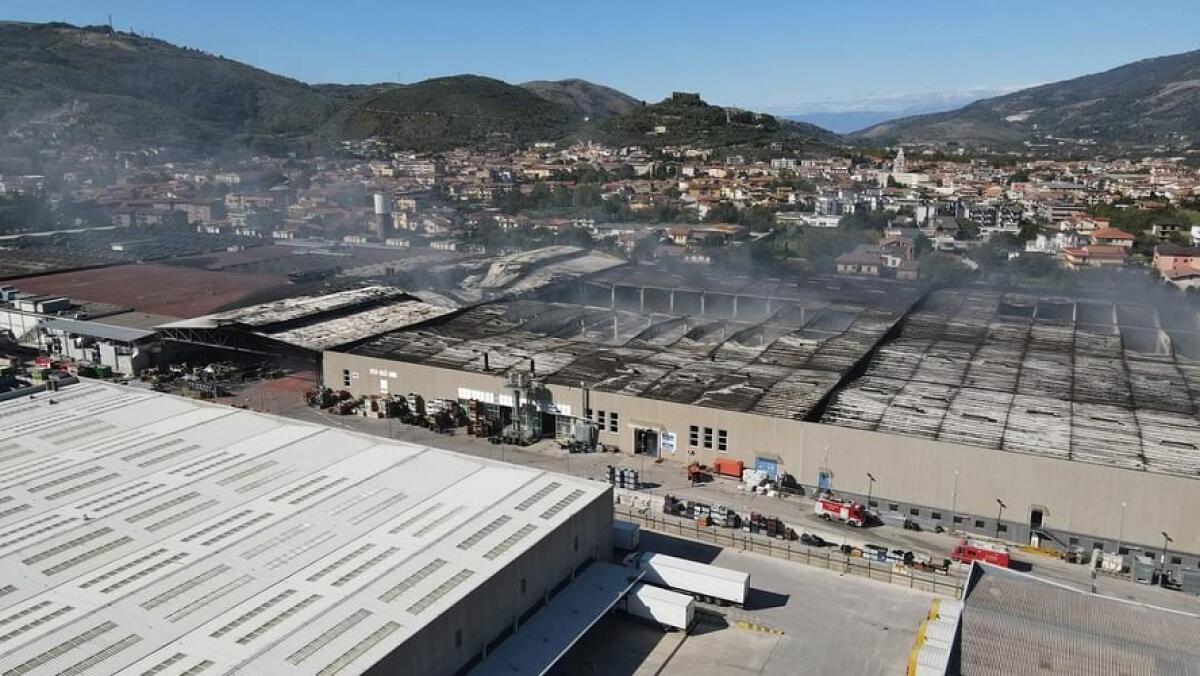 L’associazione Propugnatores Naturae scende nuovamente in campo dopo l’incedio del deposito SAPA. - 