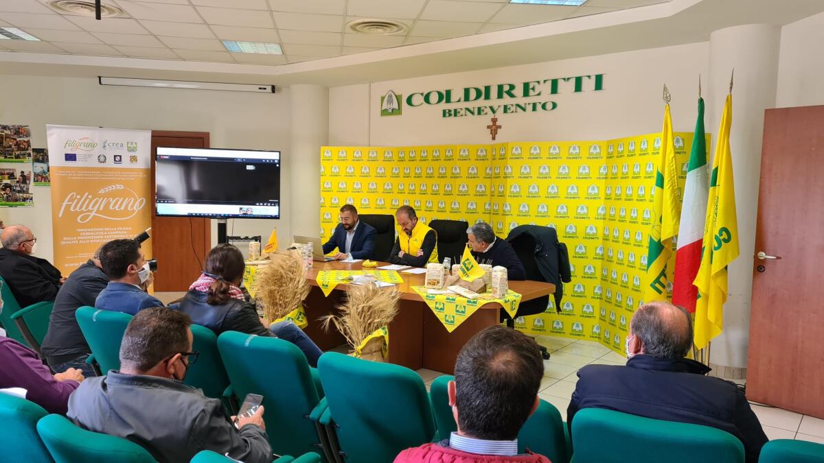 Pasta: Coldiretti e Rummo, in 10 anni Pasta 100% Sannita - 