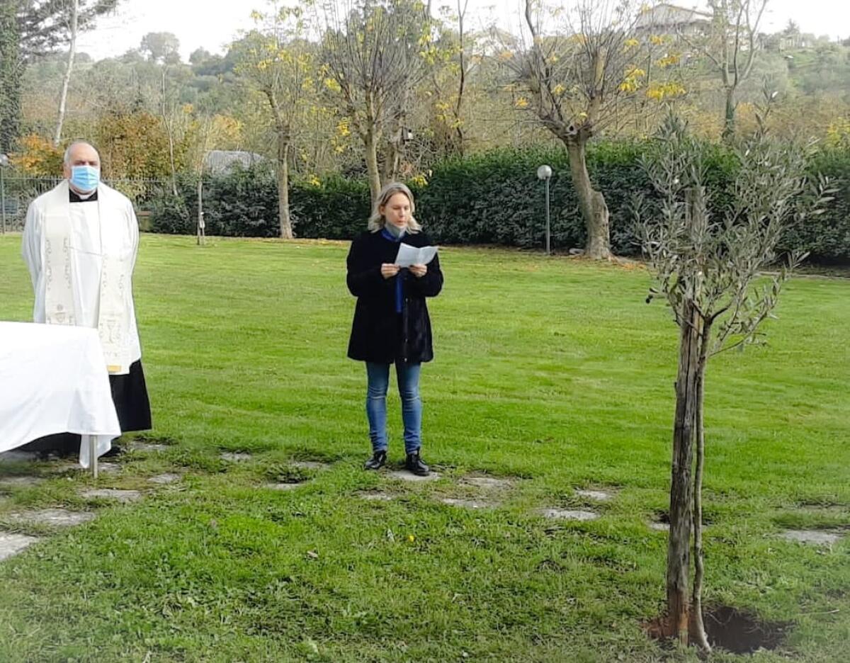 Montesarchio. Un albero di ulivo in ricordo di Antonio De Mizio, vittima del covid - 